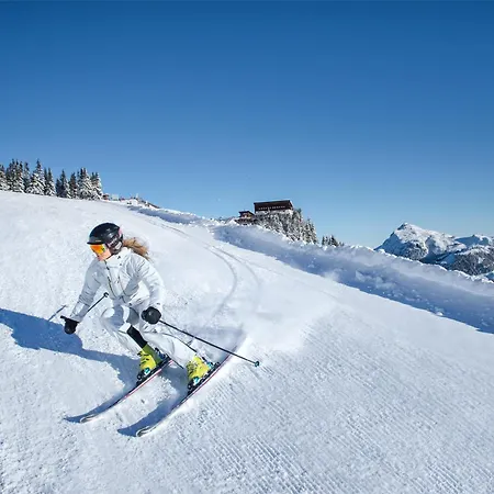 Aktivhotel Schweizerhof 호텔