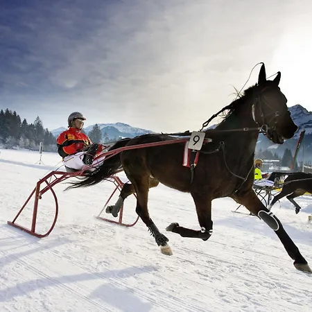 Aktivhotel Schweizerhof 4*