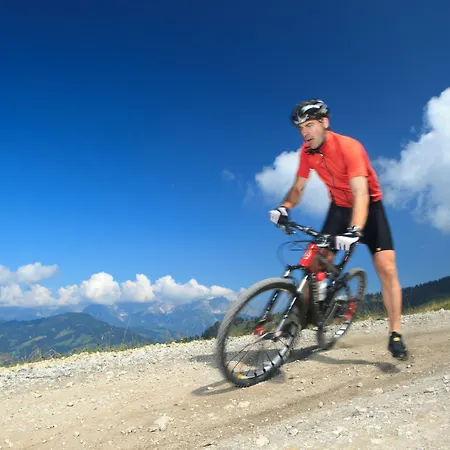 Aktivhotel Schweizerhof 호텔 키츠부헬