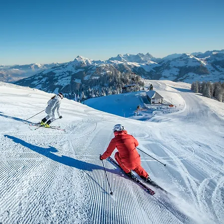 Aktivhotel Schweizerhof 4*