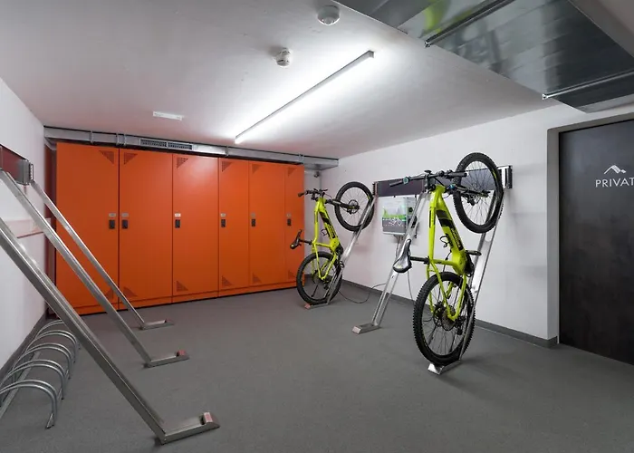 Отель Aktivhotel Schweizerhof