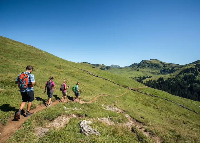 Отель Aktivhotel Schweizerhof