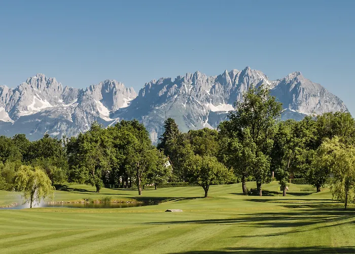 Отель Aktivhotel Schweizerhof