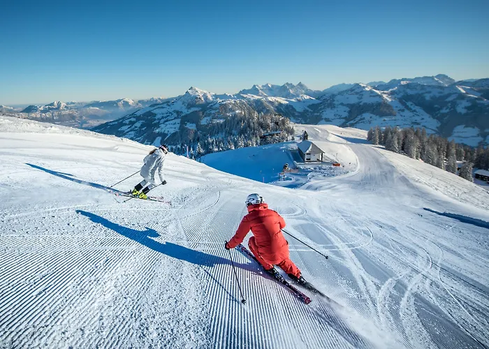 Aktivhotel Schweizerhof 4*