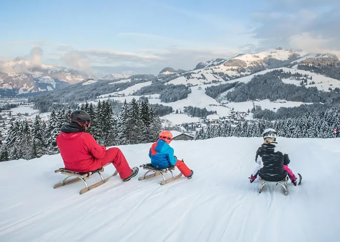 Aktivhotel Schweizerhof