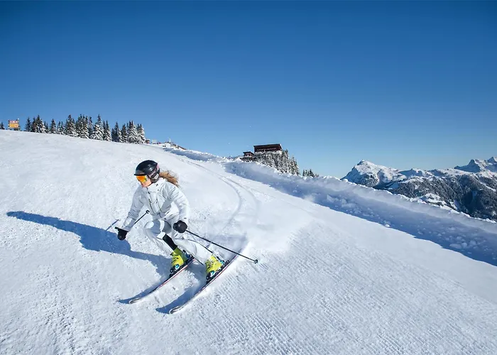 Aktivhotel Schweizerhof Szálloda